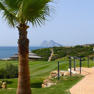 Zicht-gibraltar-met-palmboom.jpg